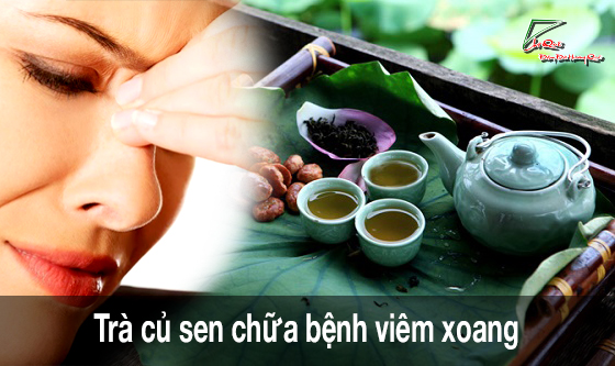 Trà củ sen chữa bệnh viêm xoang